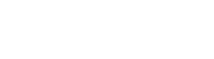 Steward Partners