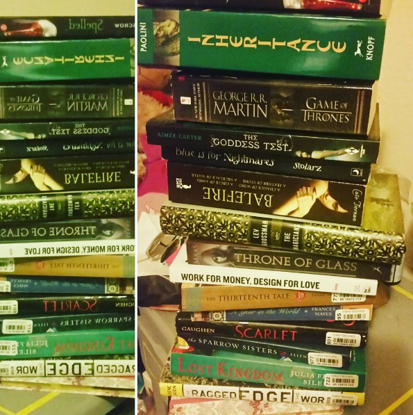 You won't find a bigger bookworm. I will have a huge library one day.