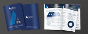 Photo of angulo brochure
