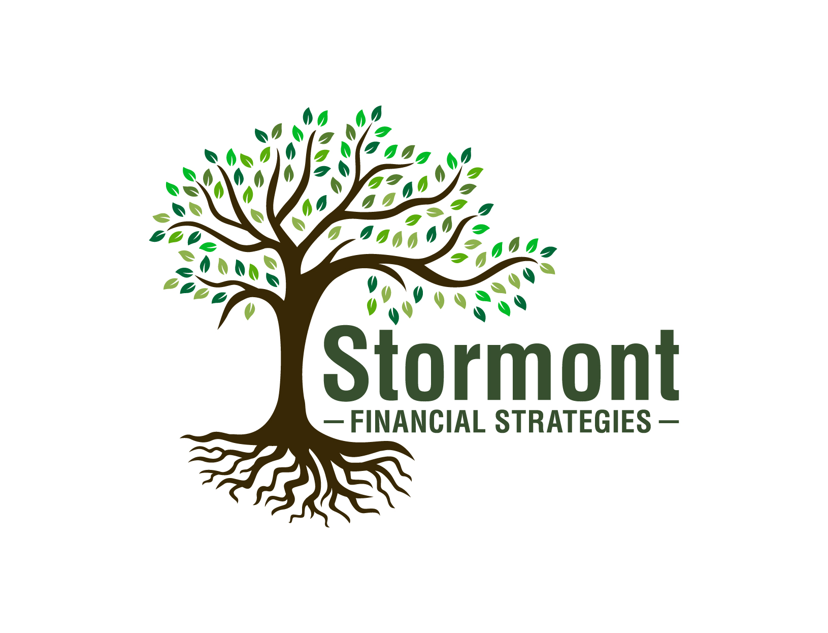 Stormont Financial Strategies Thumbnail